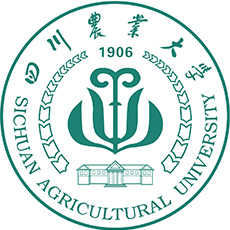 四川农业大学-高校万能墙