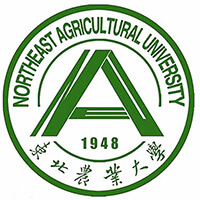 东北农业大学-高校万能墙