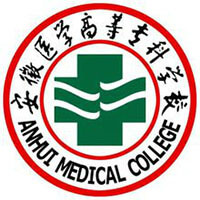 安徽医学高等专科学校-高校万能墙