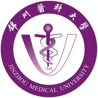 锦州医科大学-高校万能墙