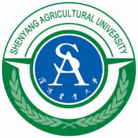 沈阳农业大学-高校万能墙