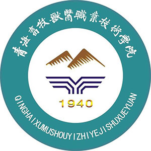 青海农牧科技职业学院-高校万能墙