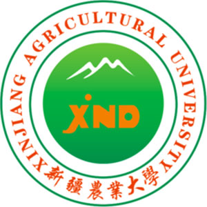 新疆农业大学-高校万能墙