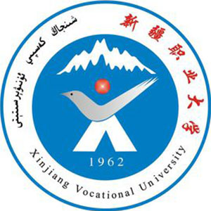 新疆职业大学-高校万能墙