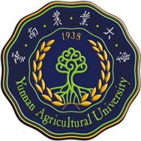 云南农业大学-高校万能墙