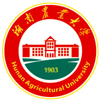 湖南农业大学-高校万能墙