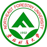 东北林业大学-高校万能墙