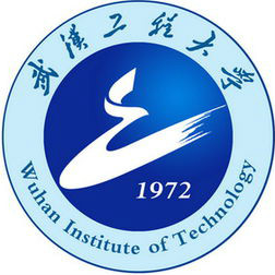 武汉工程大学-高校万能墙