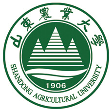 山东农业大学-高校万能墙