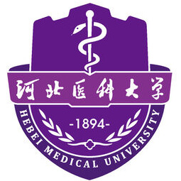 河北医科大学-高校万能墙