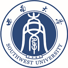 西南大学-高校万能墙